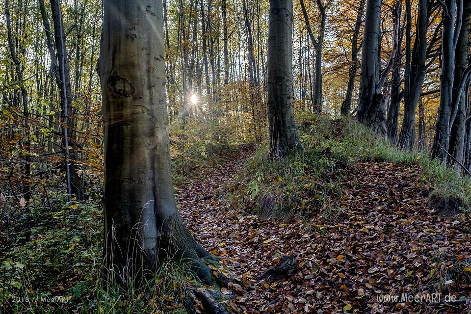 Die Eckernförder Bucht zwischen Traum und Wirklichkeit // Foto: MeerART / Ralph Kerpa