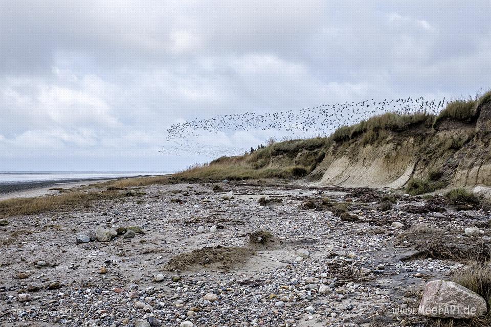 Strandabschnitt an der Nordsee bei Hjerpsted in Sønderjylland // Foto: MeerART / Ralph Kerpa