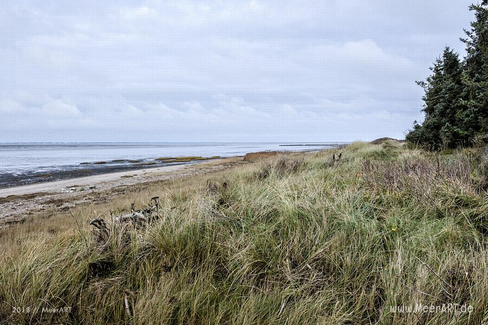 Strandabschnitt an der Nordsee bei Hjerpsted in Sønderjylland // Foto: MeerART / Ralph Kerpa