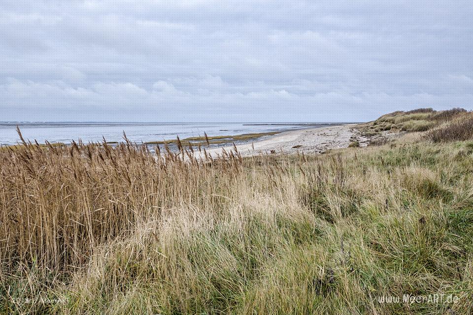 Strandabschnitt an der Nordsee bei Hjerpsted in Sønderjylland // Foto: MeerART / Ralph Kerpa