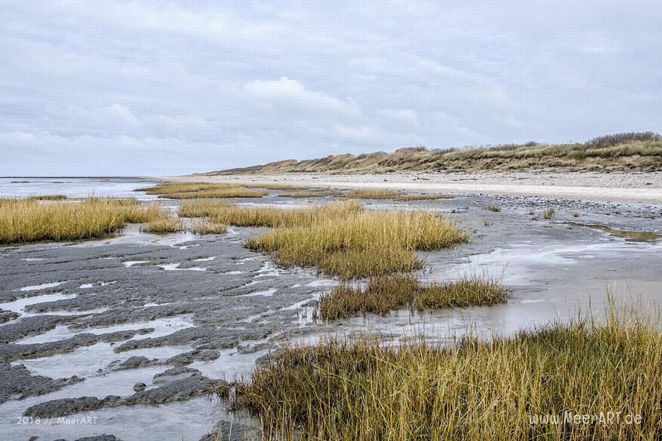 Strandabschnitt an der Nordsee bei Hjerpsted in Sønderjylland // Foto: MeerART / Ralph Kerpa