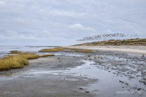 Strandabschnitt an der Nordsee bei Hjerpsted in Sønderjylland // Foto: MeerART / Ralph Kerpa