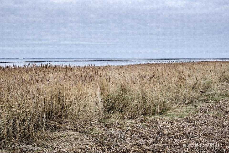 Strandabschnitt an der Nordsee bei Hjerpsted in Sønderjylland // Foto: MeerART / Ralph Kerpa