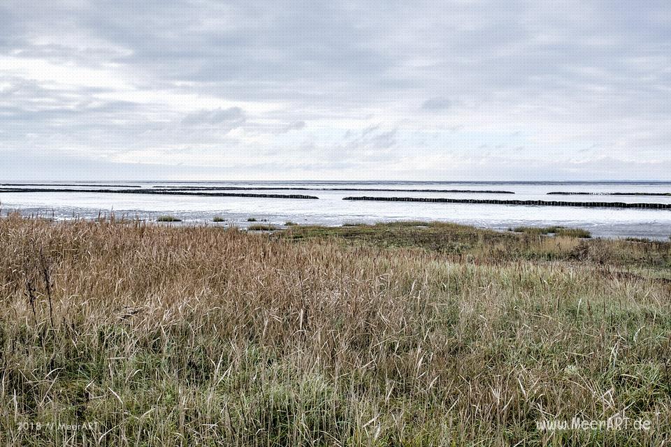 Strandabschnitt an der Nordsee bei Hjerpsted in Sønderjylland // Foto: MeerART / Ralph Kerpa