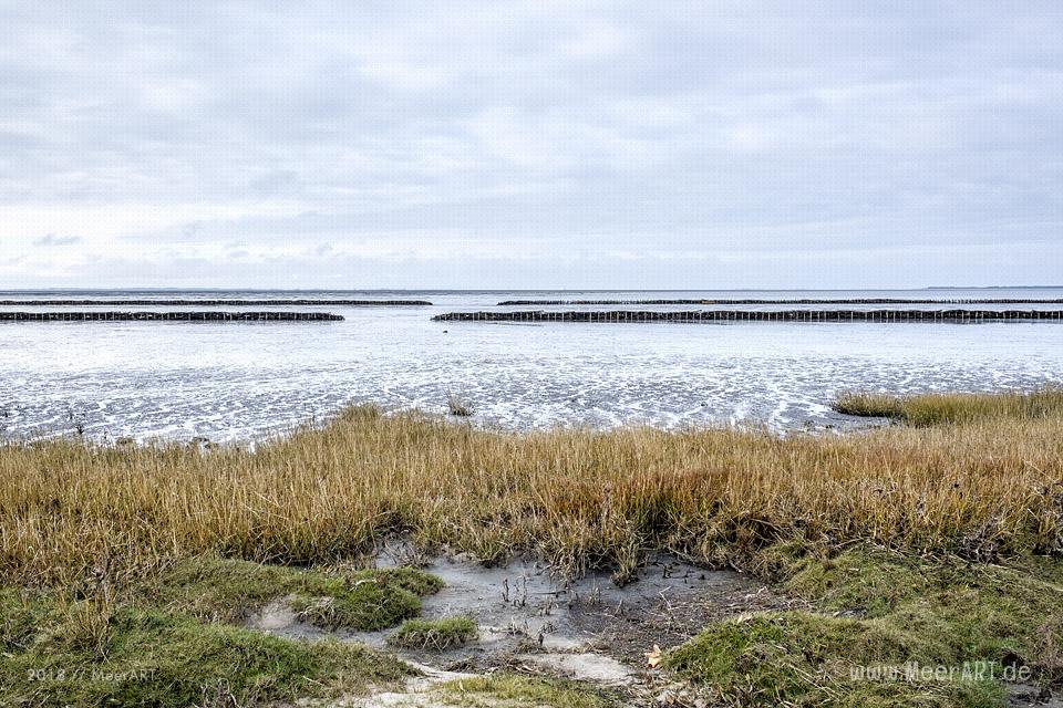 Strandabschnitt an der Nordsee bei Hjerpsted in Sønderjylland // Foto: MeerART / Ralph Kerpa