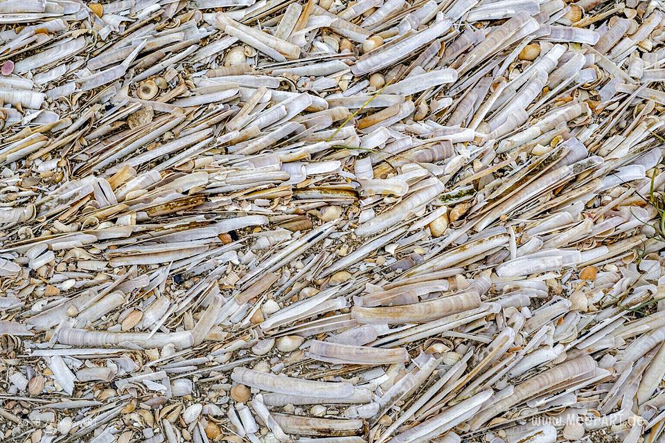 Ein nebliger Wintertag am Strand bei Lakolk auf der dänischen Wattenmeerinsel Rømø // Foto: MeerART / Ralph Kerpa