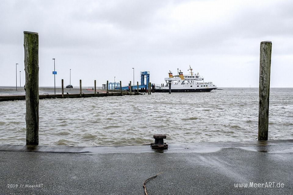Der Hafen in Schlüttsiel im Kreis Nordfriesland // Foto: MeerART / Ralph Kerpa