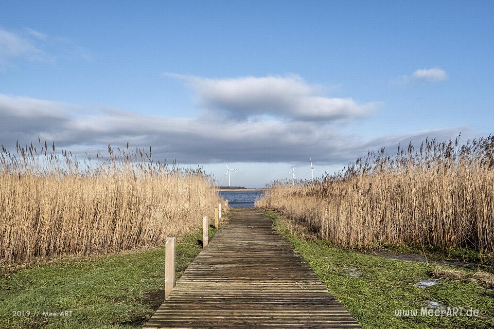 Es riecht nach Frühling in Nordfriesland // Foto: MeerART / Ralph Kerpa