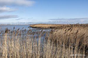 Es riecht nach Frühling in Nordfriesland // Foto: MeerART / Ralph Kerpa