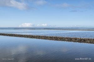 Es riecht nach Frühling in Nordfriesland // Foto: MeerART / Ralph Kerpa