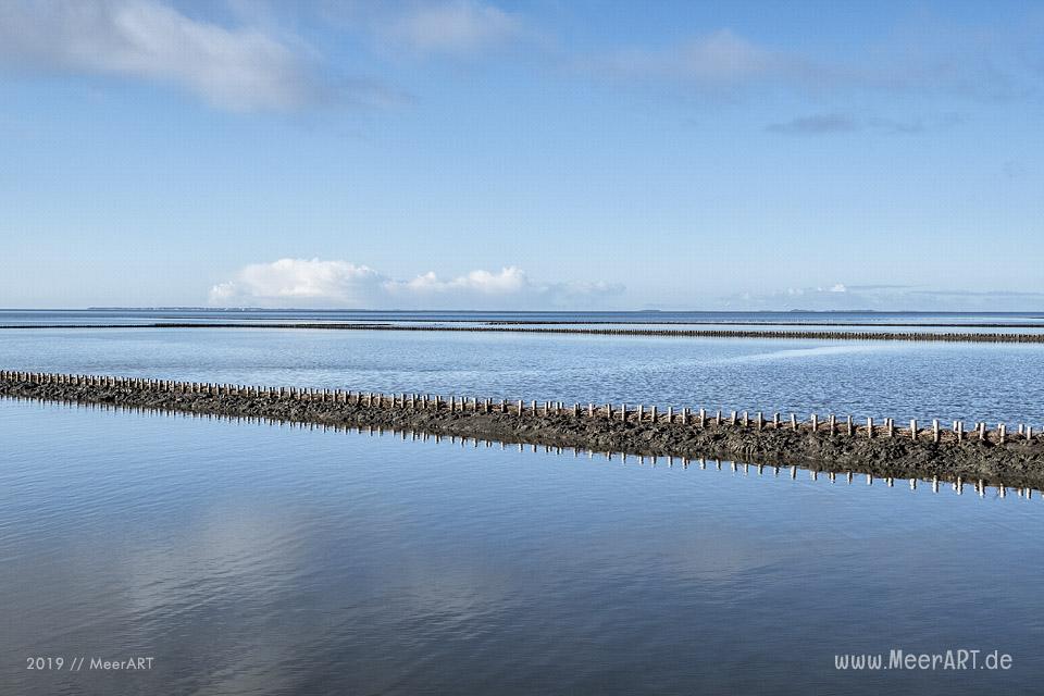 Es riecht nach Frühling in Nordfriesland // Foto: MeerART / Ralph Kerpa