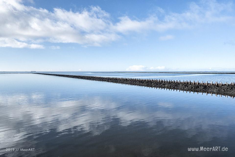 Es riecht nach Frühling in Nordfriesland // Foto: MeerART / Ralph Kerpa