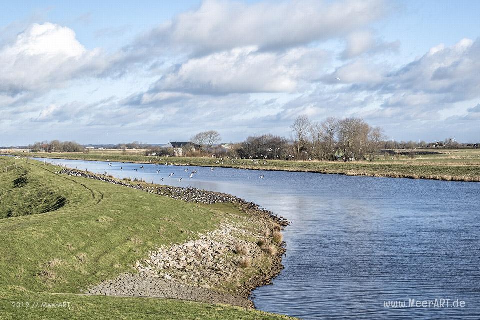 Es riecht nach Frühling in Nordfriesland // Foto: MeerART / Ralph Kerpa