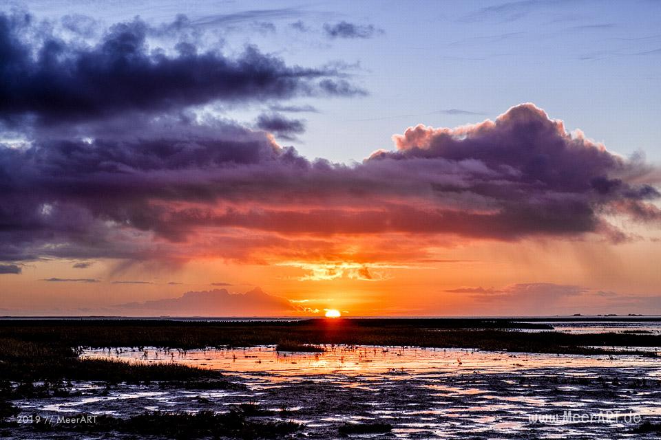 Es riecht nach Frühling in Nordfriesland // Foto: MeerART / Ralph Kerpa