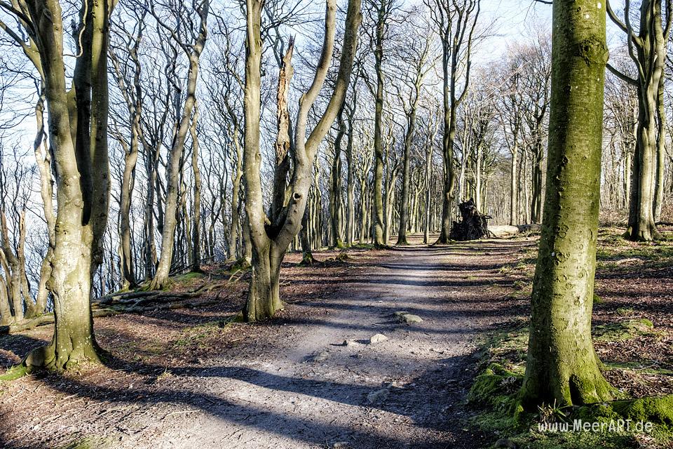 Unterwegs auf dem Fördestieg entlang der Flensburger Förde bei Glücksburg // Foto: MeerART / Ralph Kerpa