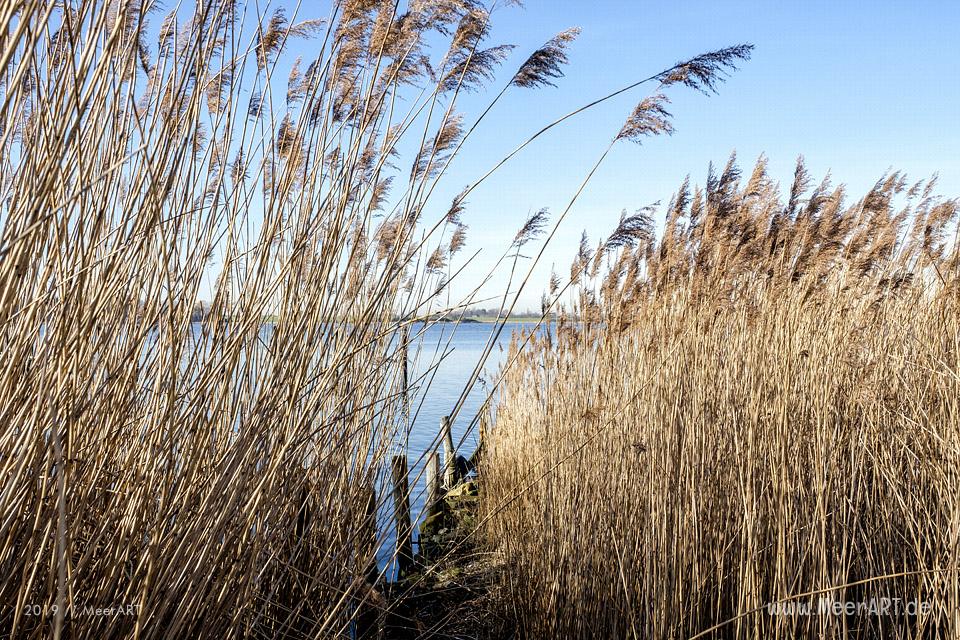 Wenn in Maasholm an der Schlei die Wintersonne lockt // Foto: MeerART / Ralph Kerpa
