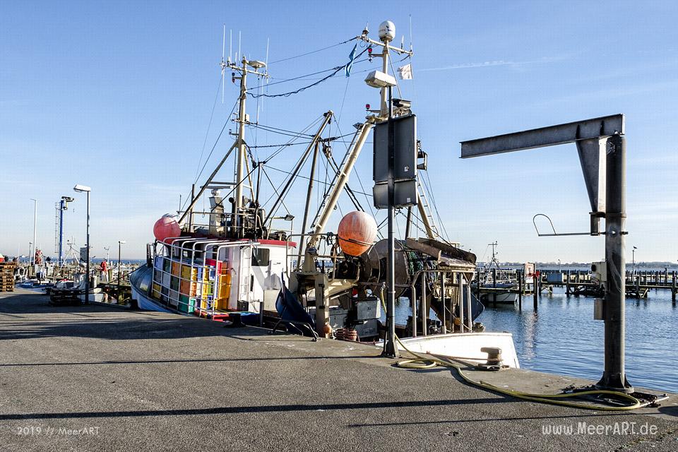 Wenn in Maasholm an der Schlei die Wintersonne lockt // Foto: MeerART / Ralph Kerpa