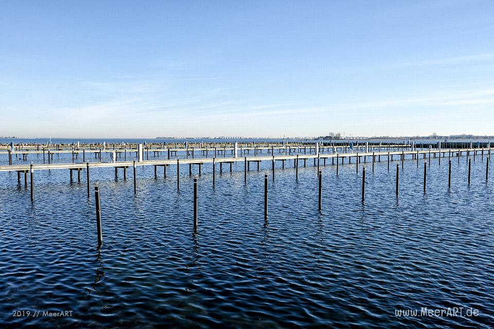 Wenn in Maasholm an der Schlei die Wintersonne lockt // Foto: MeerART / Ralph Kerpa