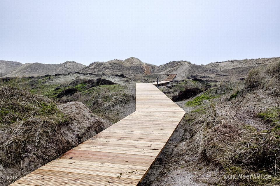 Die traumhafte Dünenlandschaft auf der Nordfriesischen Insel Amrum // Foto: MeerART / Ralph Kerpa