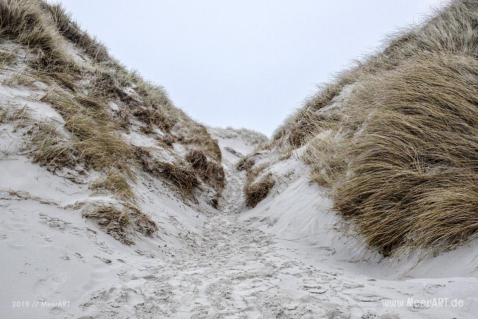 Die traumhafte Dünenlandschaft auf der Nordfriesischen Insel Amrum // Foto: MeerART / Ralph Kerpa