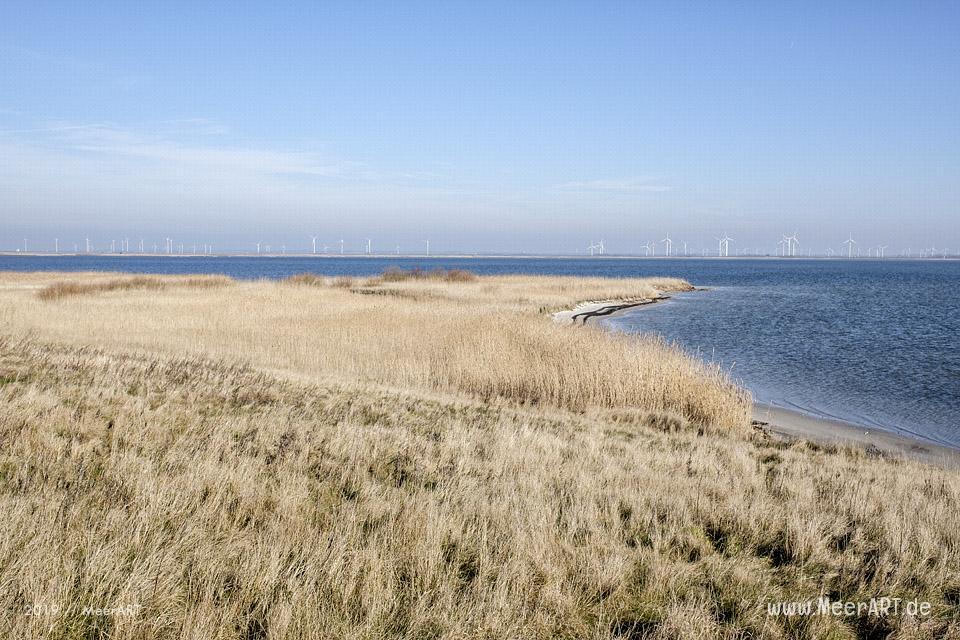Zu Fuß von Lüttmoorsiel nach Holmer Siel // Foto: MeerARTZu Fuß von Lüttmoorsiel nach Holmer Siel // Foto: MeerART