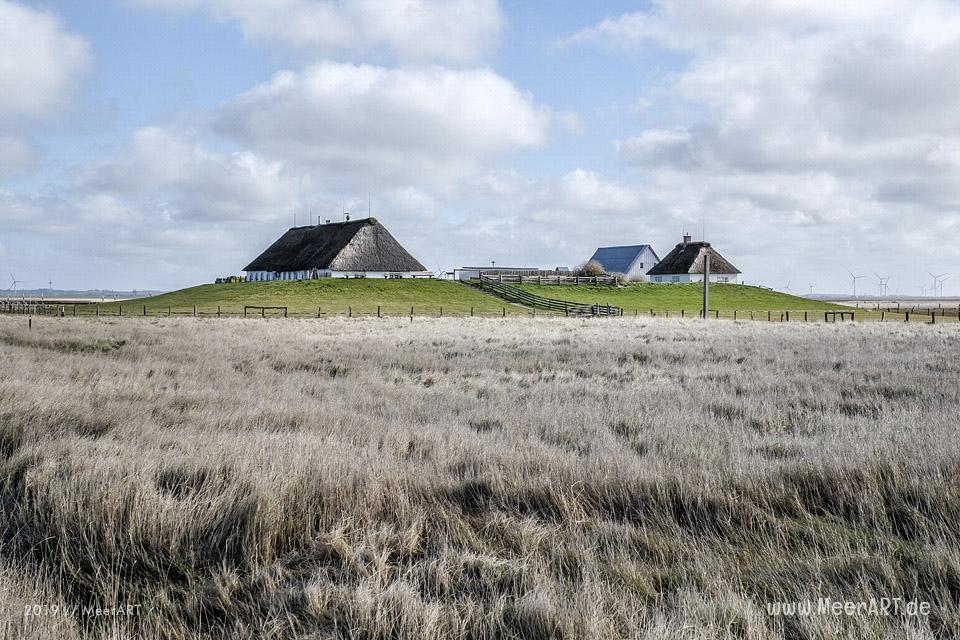 Die Warft mit dem Hallig Krog auf der Hamburger Hallig // Foto: MeerART / Ralph Kerpa
