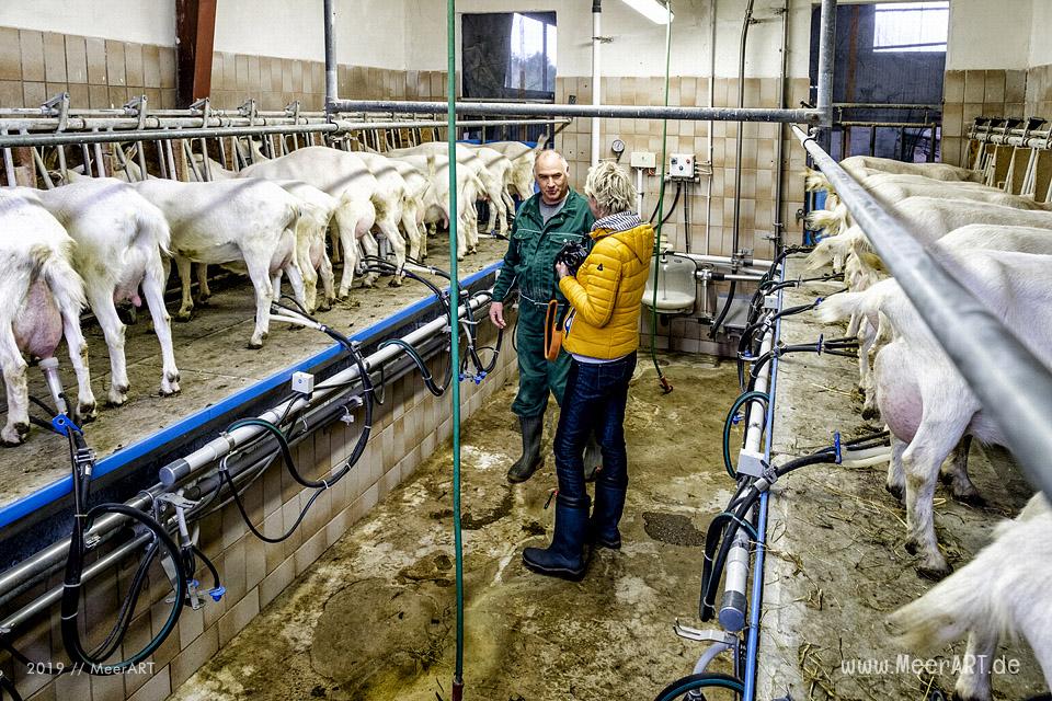 Jahnkes Ziegennkäse: Leckere Ziegenmilchspezialitäten direkt vom Bauernhof aus Angeln // Foto: MeerART / Ralph Kerpa