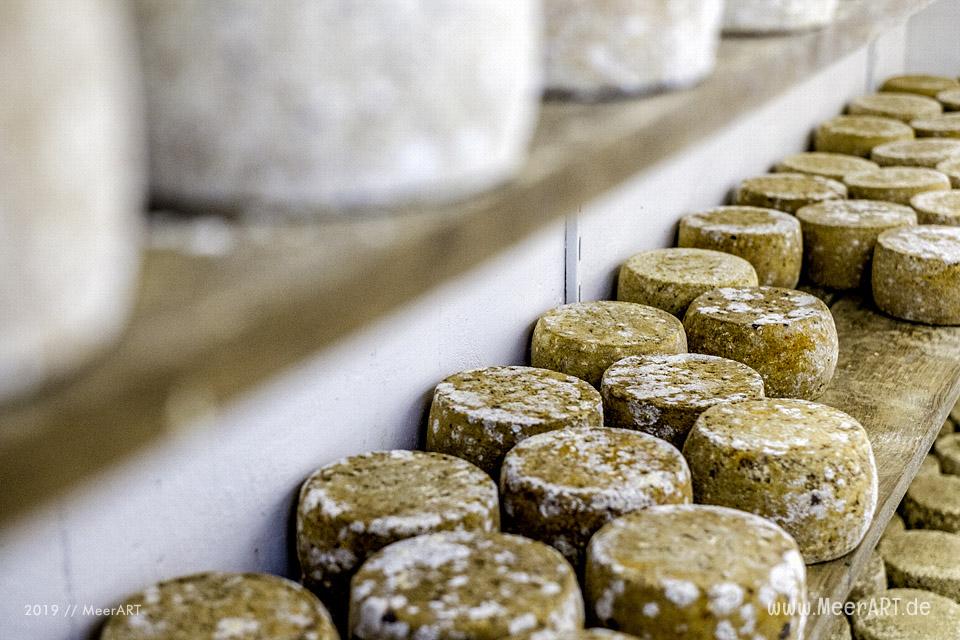 Jahnkes Ziegennkäse: Leckere Ziegenmilchspezialitäten direkt vom Bauernhof aus Angeln // Foto: MeerART / Ralph Kerpa