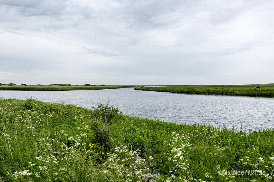 Nordsee – Daenemark – Højer in der Tønder-Marsch in Sønderjylland // Foto: MeerART
