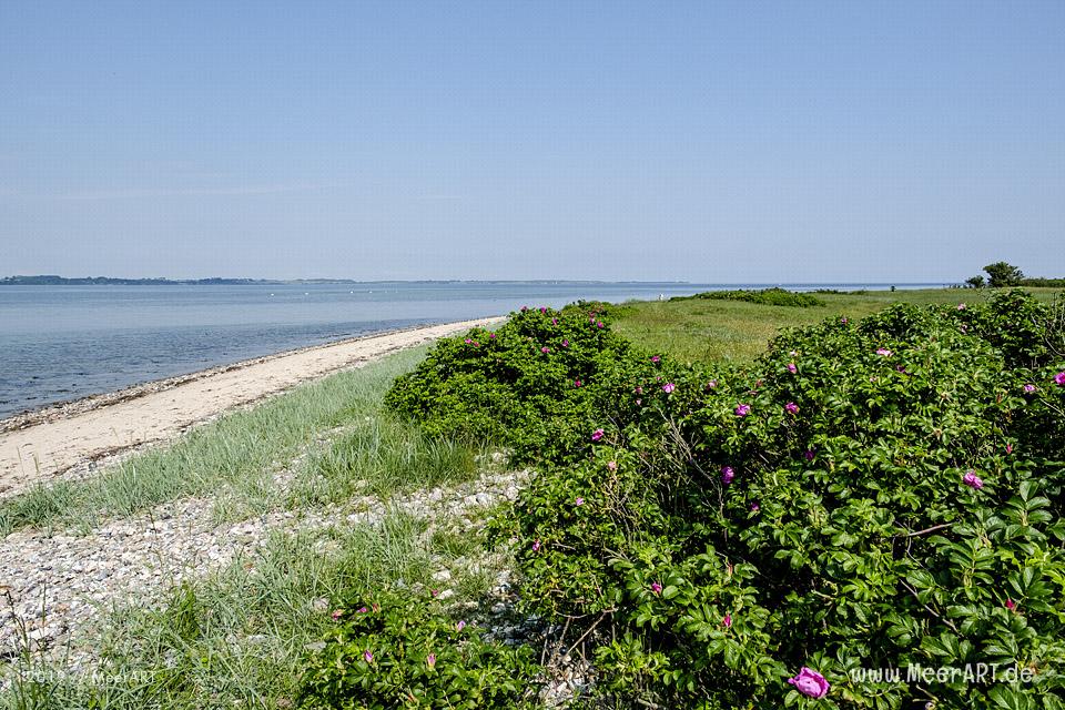 Zwischenstopp am Natrstrand im beschaulichen Bockholmwik an der Ostsee // Foto: MeerART