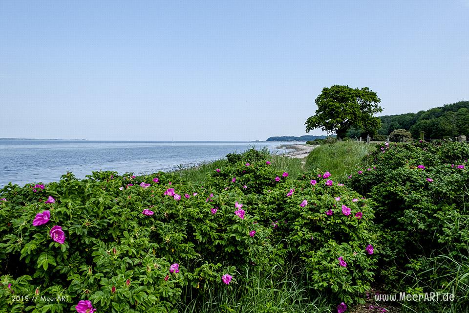 Zwischenstopp am Natrstrand im beschaulichen Bockholmwik an der Ostsee // Foto: MeerART