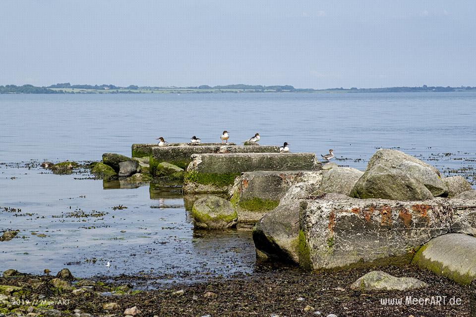 Zwischenstopp am Natrstrand im beschaulichen Bockholmwik an der Ostsee // Foto: MeerART