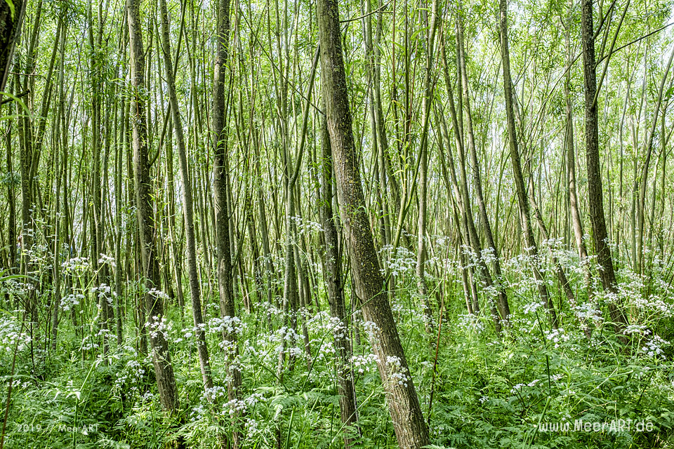 Der Hardenhof - Natur pur und handgefertigte Einzelstücke für den Garten aus natürlichen Rohstoffen // Foto: MeerART