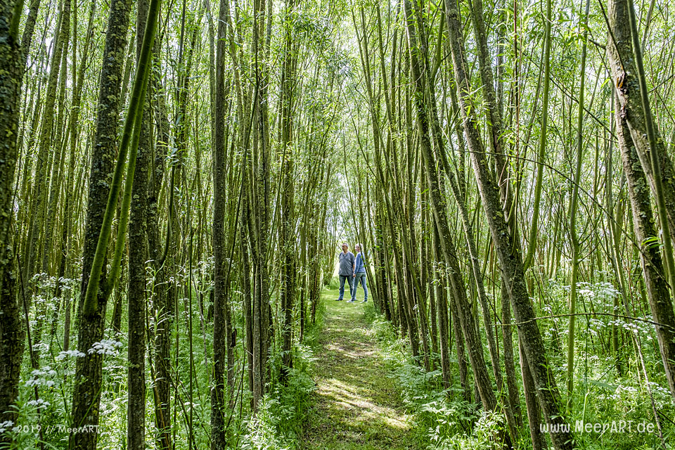 Der Hardenhof - Natur pur und handgefertigte Einzelstücke für den Garten aus natürlichen Rohstoffen // Foto: MeerART