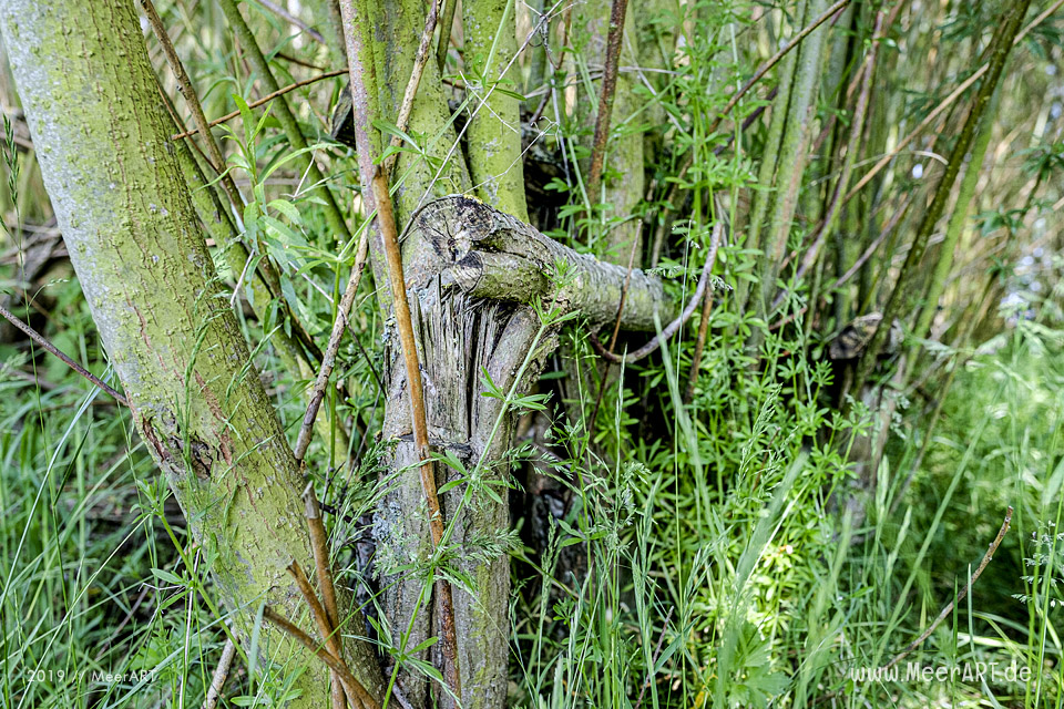 Der Hardenhof - Natur pur und handgefertigte Einzelstücke für den Garten aus natürlichen Rohstoffen // Foto: MeerART