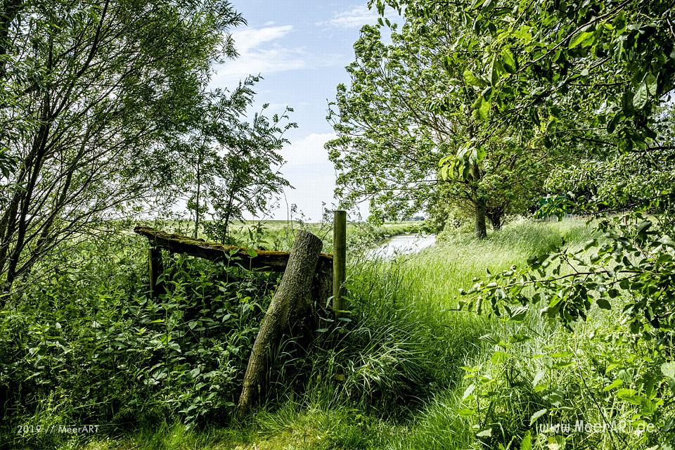 Der Hardenhof - Natur pur und handgefertigte Einzelstücke für den Garten aus natürlichen Rohstoffen // Foto: MeerART