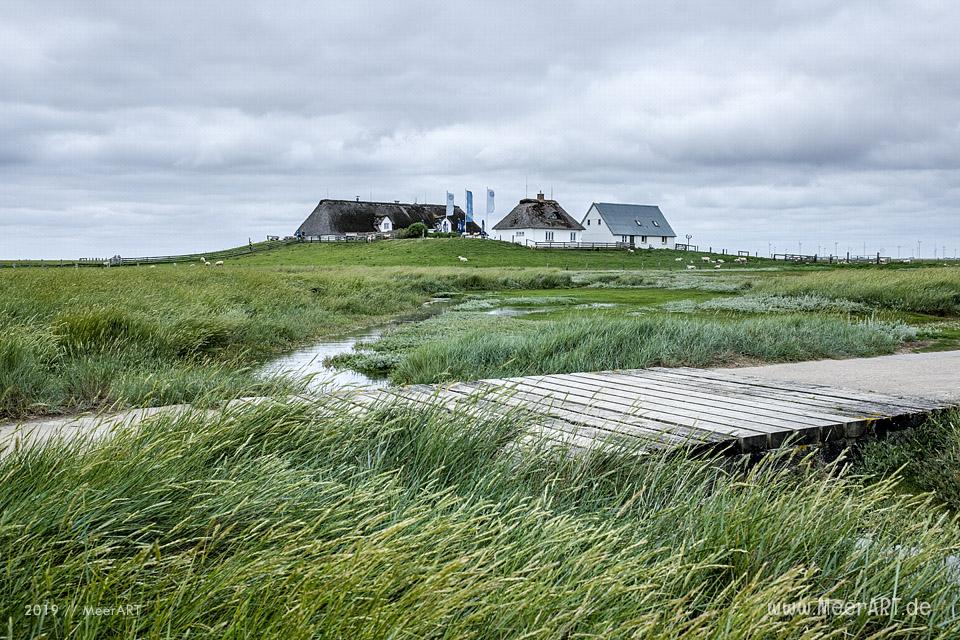 Sonntagsspaziergang auf der Hamburger Hallig // Foto: Ralph Kerpa