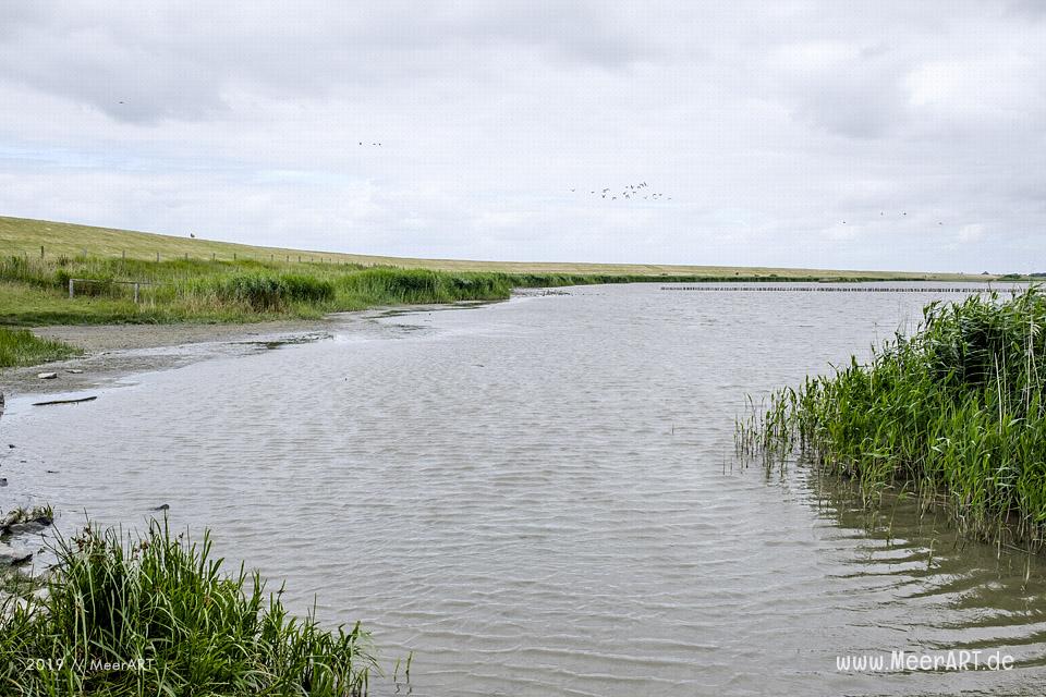 Meerzeit und Durchatmen an der Küste bei Dagebüll // Foto: Ralph Kerpa