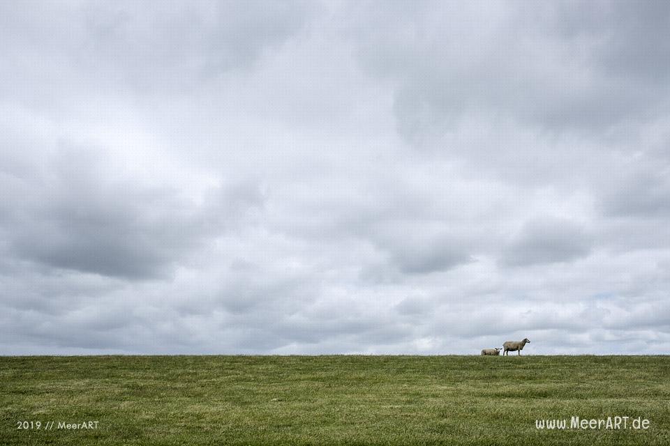 Meerzeit und Durchatmen an der Küste bei Dagebüll // Foto: Ralph Kerpa
