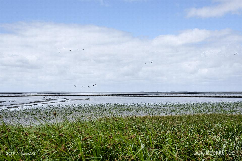 Meerzeit und Durchatmen an der Küste bei Dagebüll // Foto: Ralph Kerpa