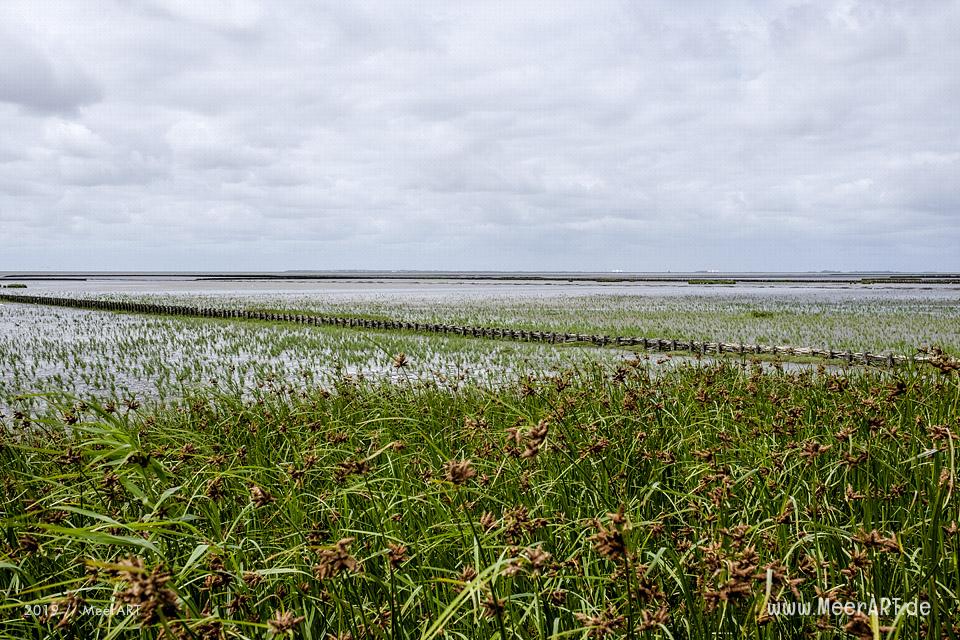 Meerzeit und Durchatmen an der Küste bei Dagebüll // Foto: Ralph Kerpa
