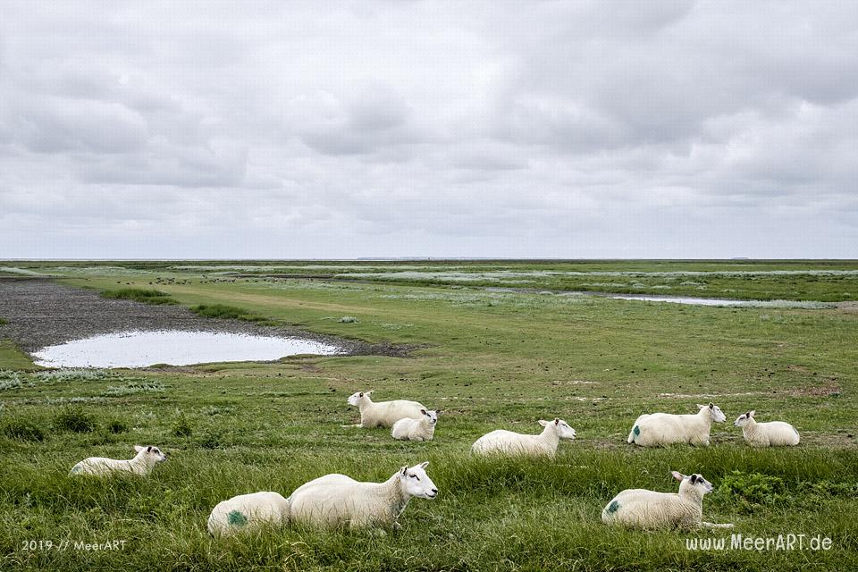 Meerzeit und Durchatmen an der Küste bei Dagebüll // Foto: Ralph Kerpa