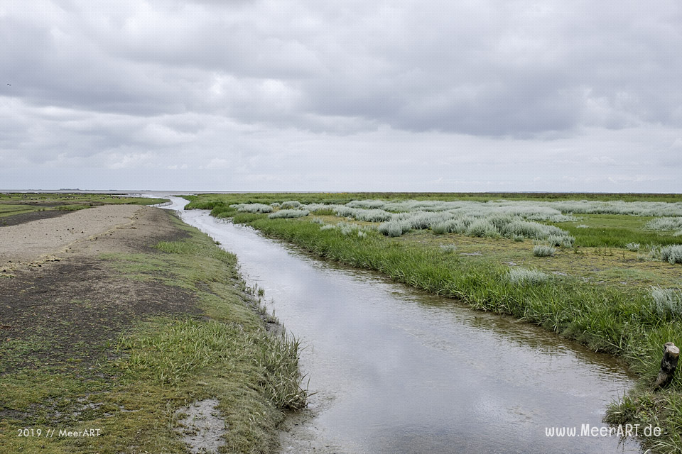 Meerzeit und Durchatmen an der Küste bei Dagebüll // Foto: Ralph Kerpa