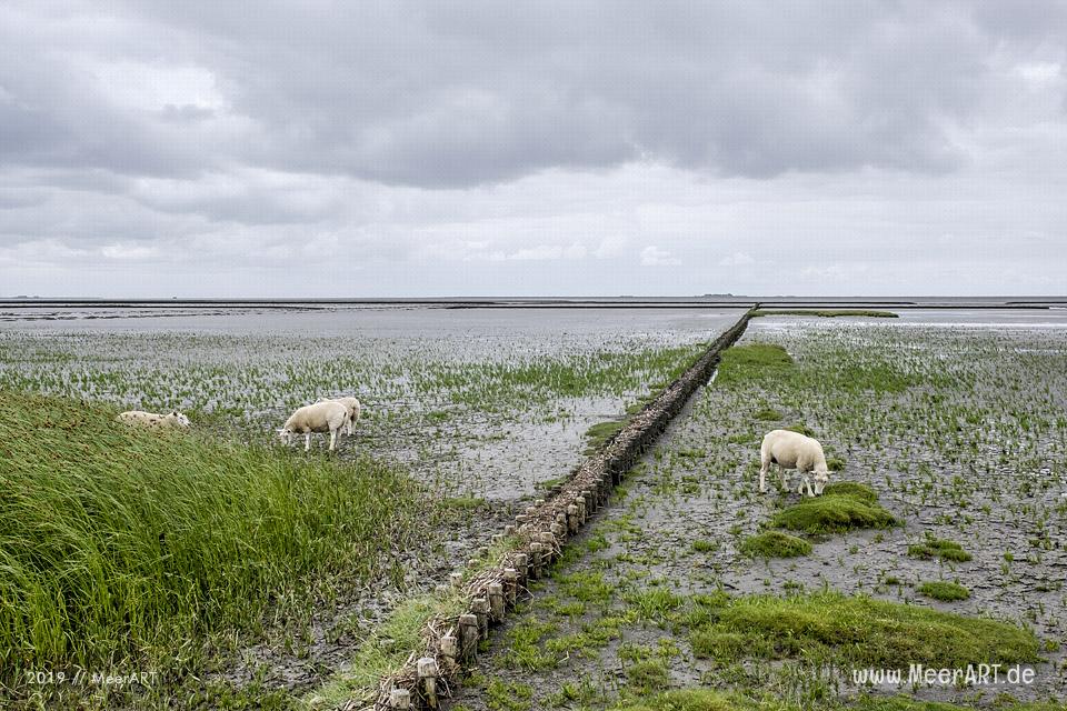 Meerzeit und Durchatmen an der Küste bei Dagebüll // Foto: Ralph Kerpa