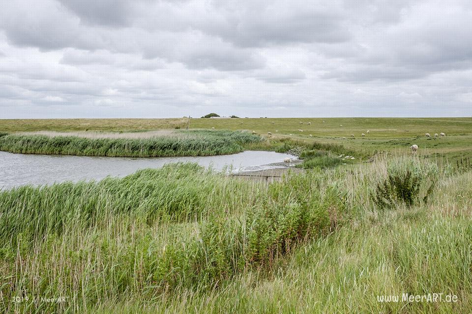 Meerzeit und Durchatmen an der Küste bei Dagebüll // Foto: Ralph Kerpa