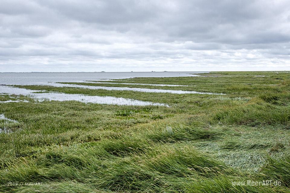 Sonntagsspaziergang auf der Hamburger Hallig // Foto: Ralph Kerpa