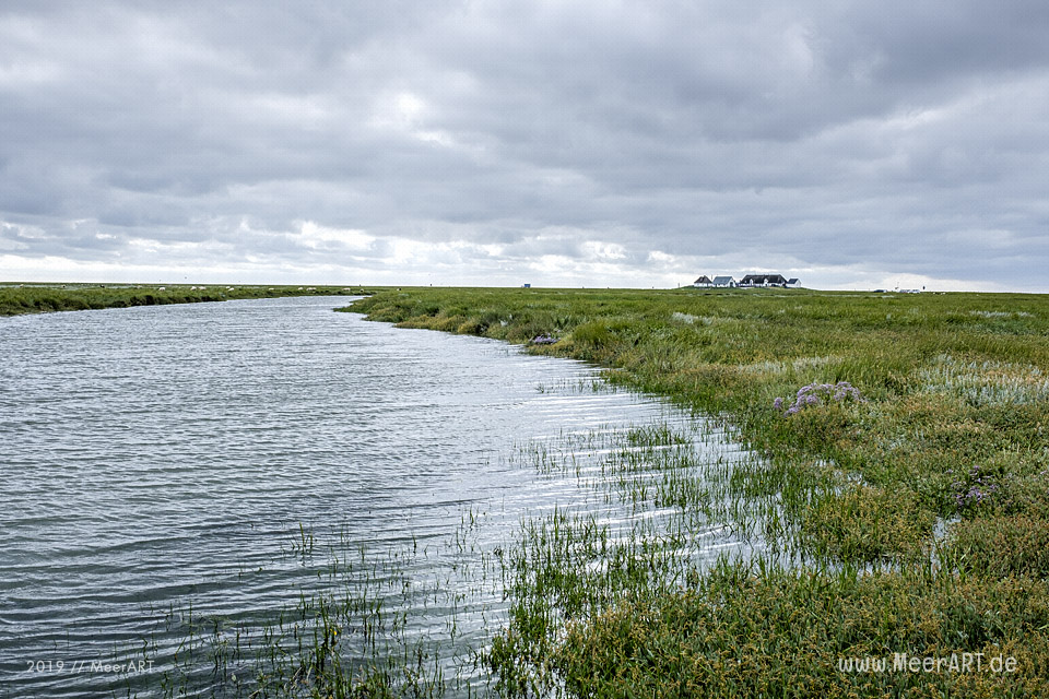Sonntagsspaziergang auf der Hamburger Hallig // Foto: Ralph Kerpa
