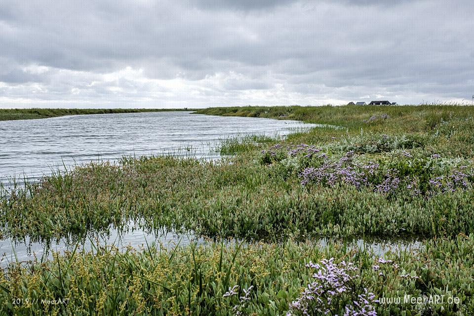 Sonntagsspaziergang auf der Hamburger Hallig - Das Motiv ist als Wandbild vom Meer bei uns erhältlich // Foto: Ralph Kerpa
