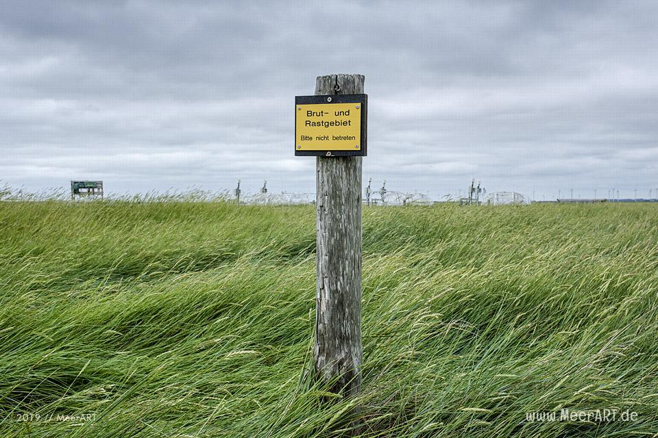 Sonntagsspaziergang auf der Hamburger Hallig // Foto: Ralph Kerpa