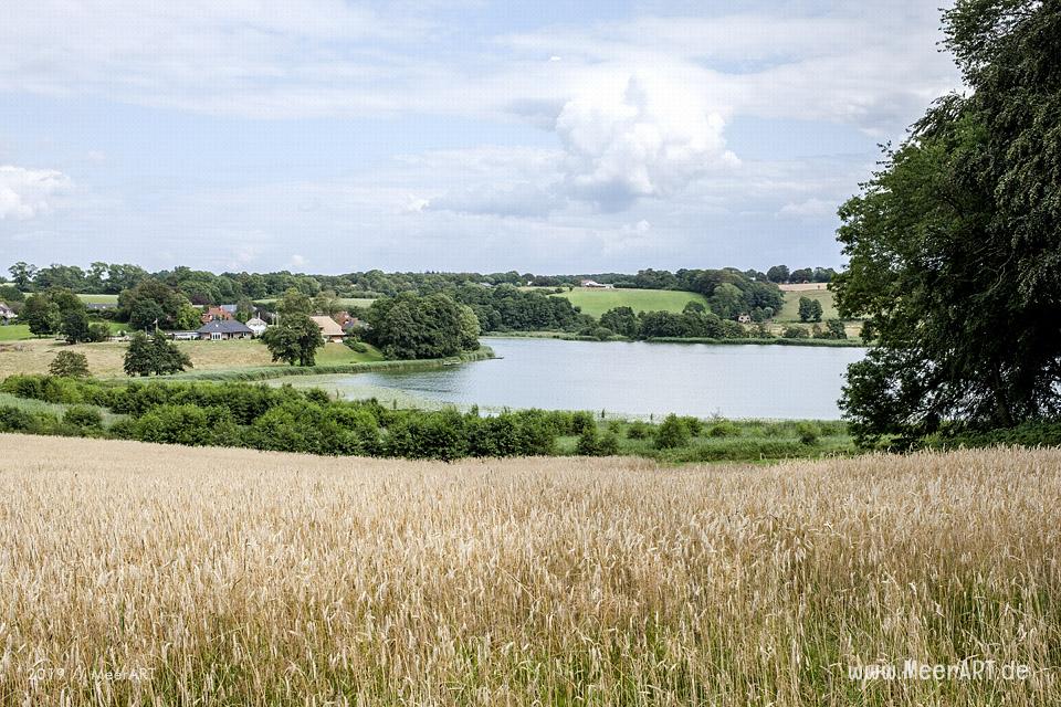 Auf dem Weg zum Gendarmstien beim Niehuussee in Padborg // Foto: MeerART